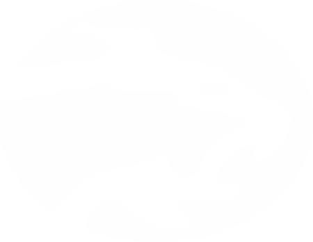 Auto Lince Funilaria e Pintura